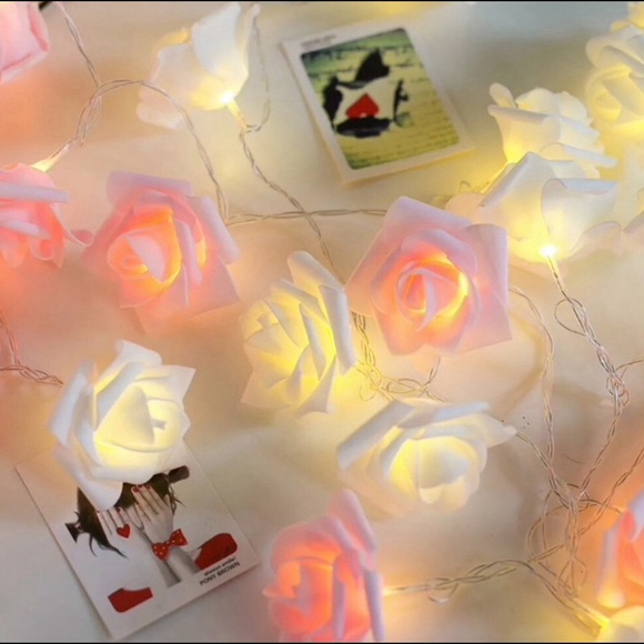 WHITE & PINK AESTHETIC ROSE STRING LIGHTS - Picture 2 of 6